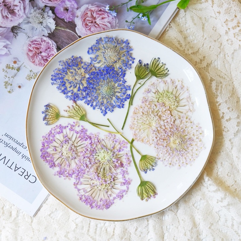 12PCS Pressed Emerald Pearl Fl - Dried Flower Bookmark 评论和价格